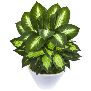 21” Golden Dieffenbachia Artificial Plant in White Planter