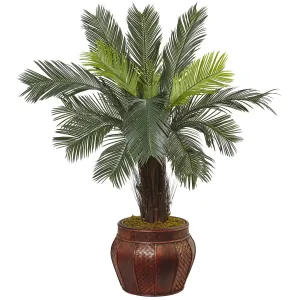 3.5’ Cycas Tree in Wood Planter