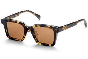 AM EYEWEAR - Tommy Large - Gents Tort