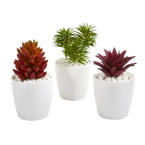 Mixed Succulent Artificial Plant in White Vase (Set of 3)