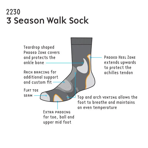 Women's 3 Season Single Layer Walk Sock - 2230